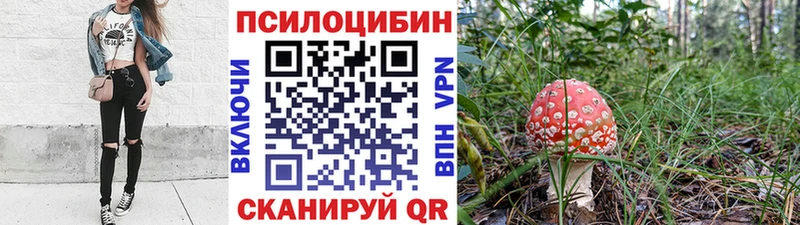 Галлюциногенные грибы Magic Shrooms  Купить где  Нижний Ломов 